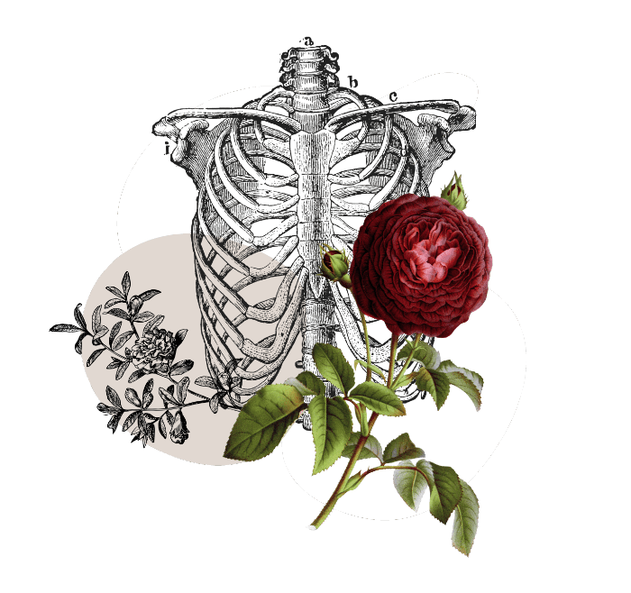 Health With Heart Single Service CTA
