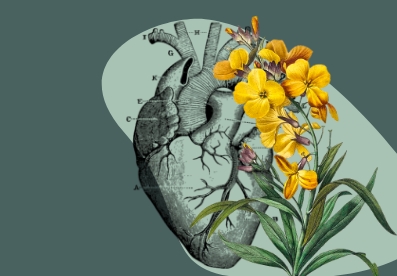 Health With Heart Corporate Procedures Thumbnail Health With Heart Corporate Procedures Thumbnail